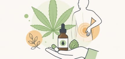 Illustration zum Beitrag: Aktueller Stand zum Thema Cannabis als Schmerzmittel – auch in Deutschland gibt es jetzt Veränderungen