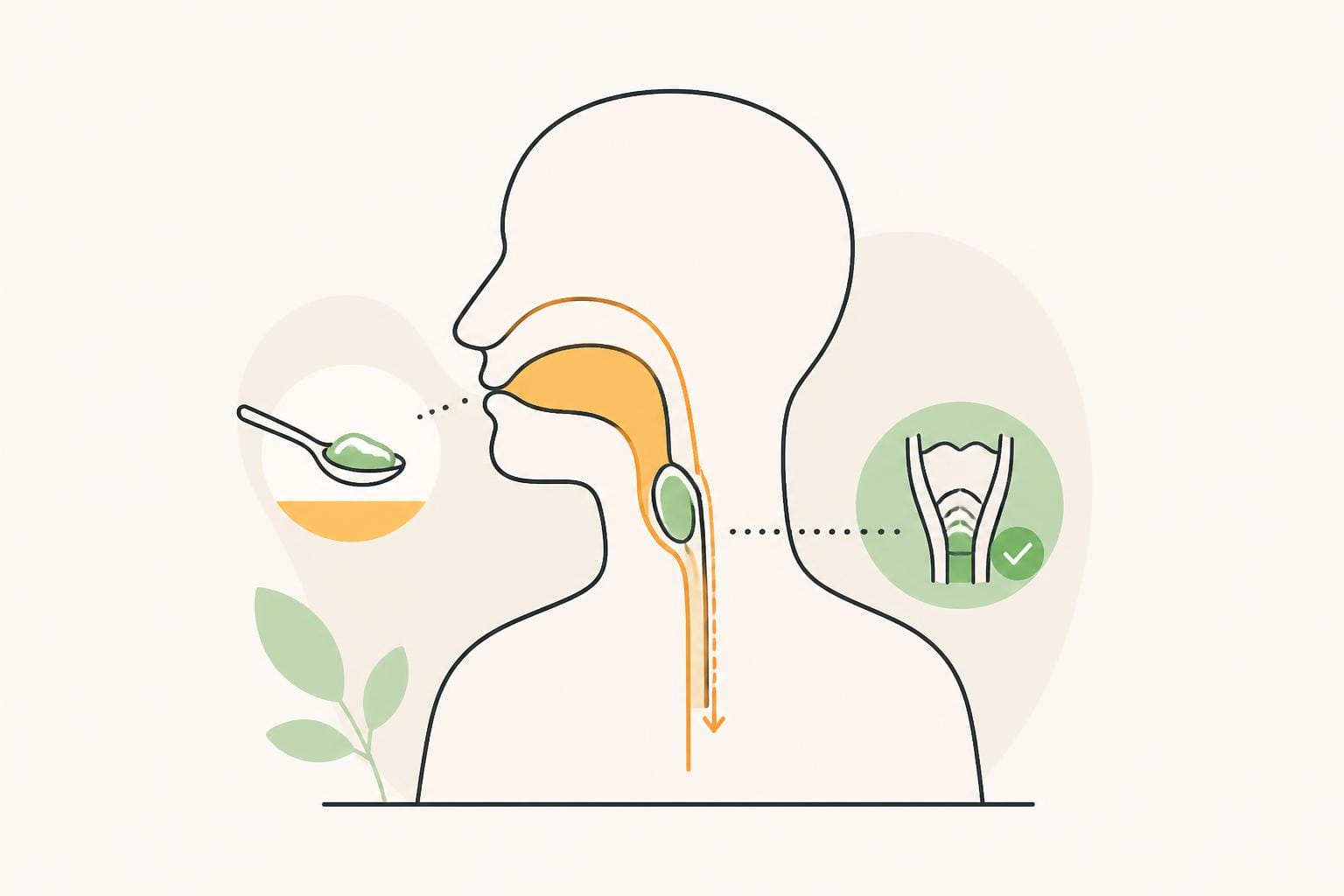 Illustration zum Beitrag: Dysphagie – Teil 1