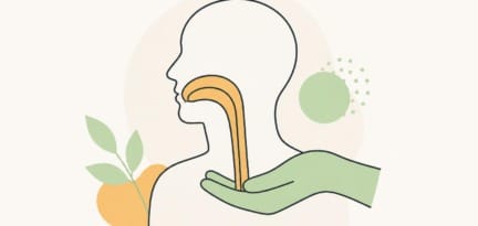 Illustration zum Beitrag: Dysphagie 3/3